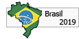 COPA AMRICA 2019 - BRASIL